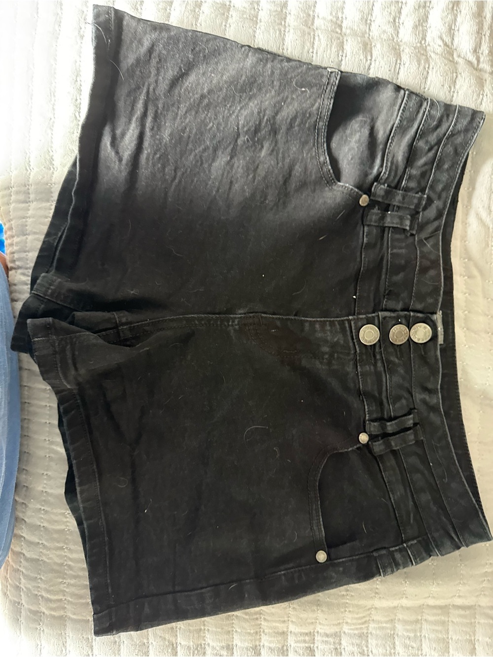 New York & Company Black Denim Jean Shorts